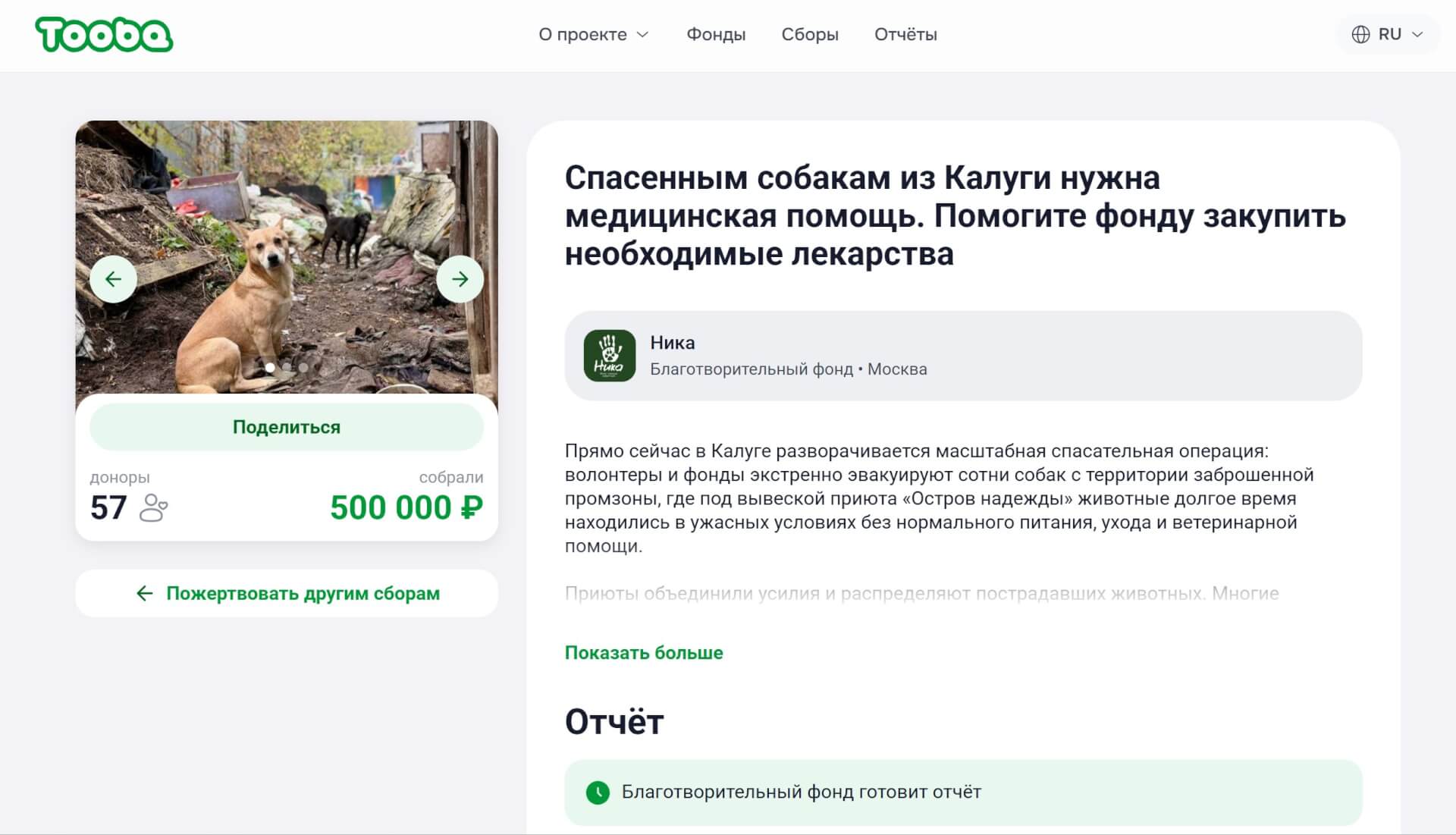 На лечение собак из калужского «Острова надежды» собрали 500 тысяч рублей за три часа