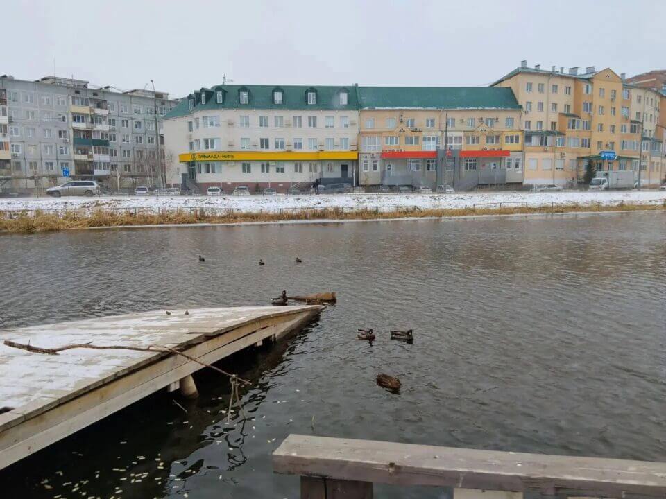 В Якутске на замерзающем озере спасают уток