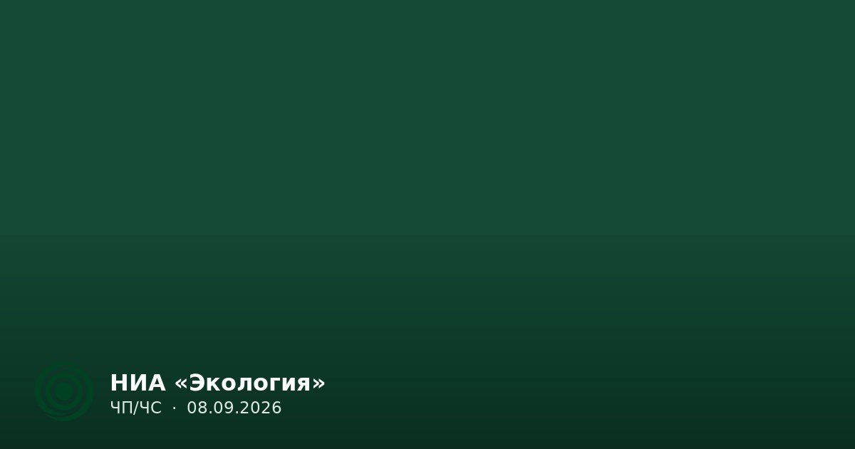 В трёх округах Челябинской области ввели режим ЧС из-за пожаров